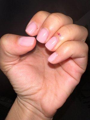 This is how my nails look like 2 days after I got them done.