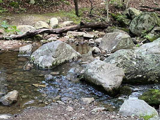 Norvin Green State Forest