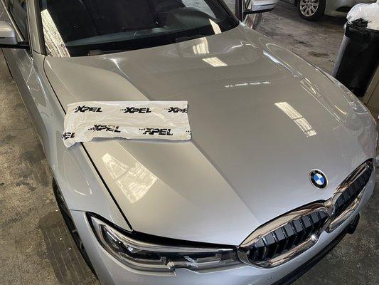 PPF,paint protection xpel