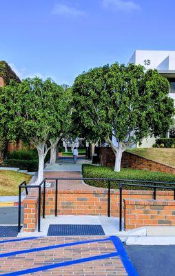 Path to office from parking lot