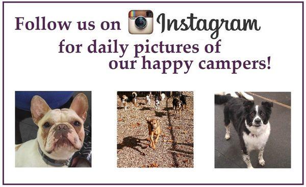 Follow us on Instagram!