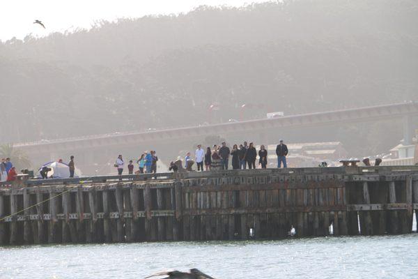 A family witnessing the scattering of their loved one from the shore.