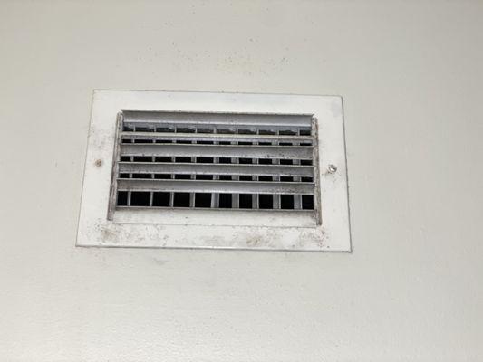 another vent with mold