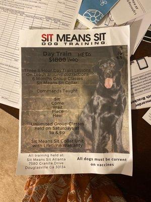 Sit Means Sit Dog Training