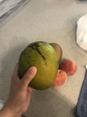 Handpicked Sanibel mangoes