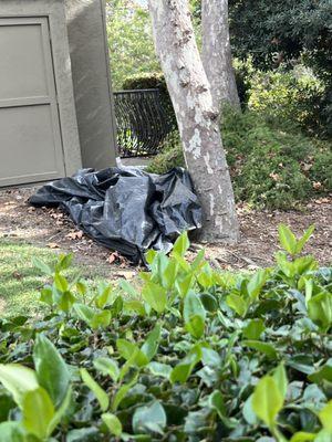 Left on my balcony after the pressure washing. It fell and 4 trash bags of debris were on our balcony dog bed chairs clothes drying.