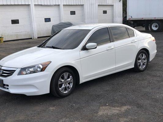 2009 Honda Accord (Tints)