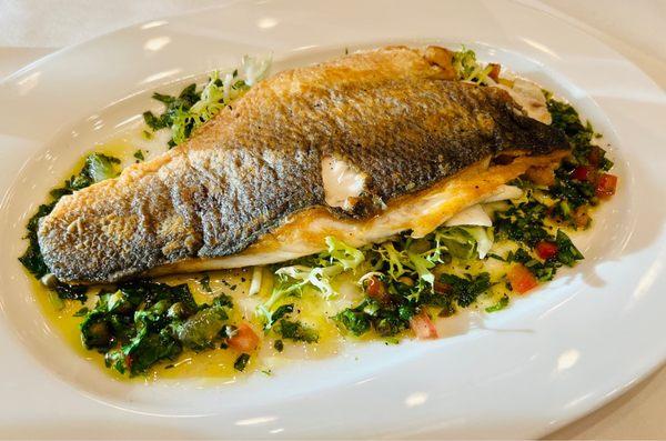 Filet of bronzino