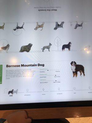 touch screen to learn about breeds