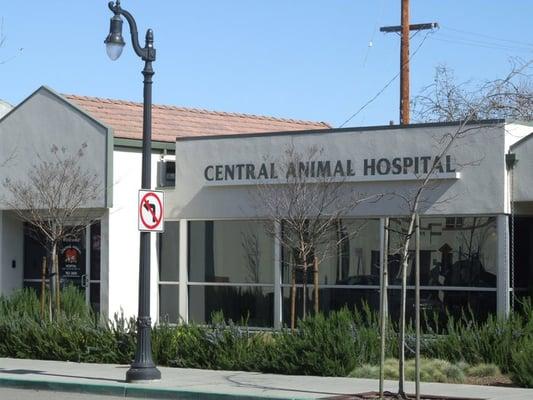 Central Animal Hospital