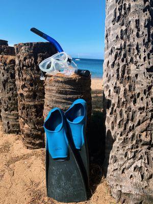 Awesome snorkel gear!!