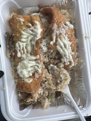 Combined fish and gyro fried rice into one container.