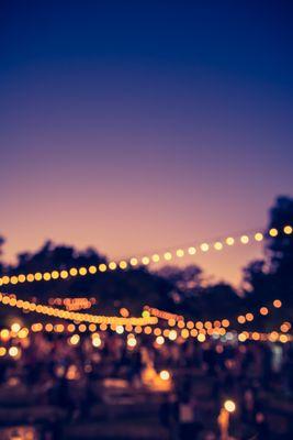 String lights in front of dark trees and deep sunset