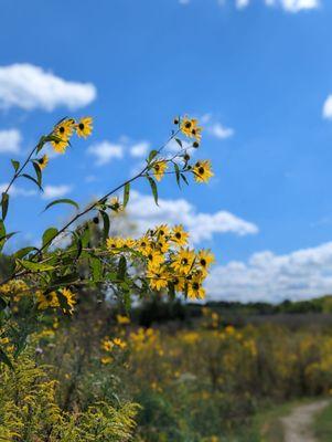 Sugarcreek Metropark