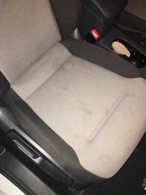 Front seat pee stains