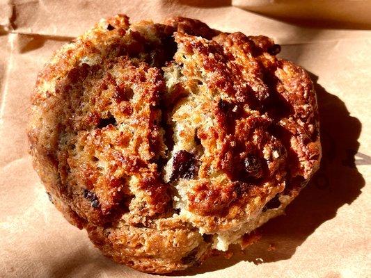 A blueberry scone in the warm morning sunlight