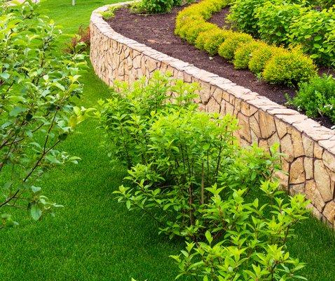 Planter bed with plants