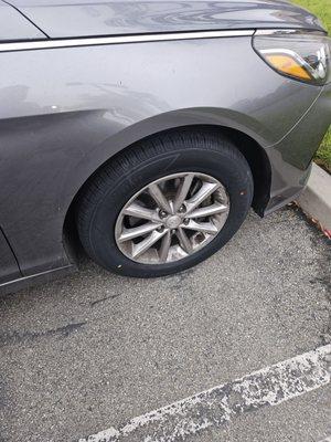 This is my brand new Ramona tire.