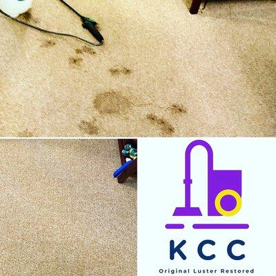 King Carpet Cleaning Service