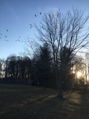 Winter day in Nottoway Park