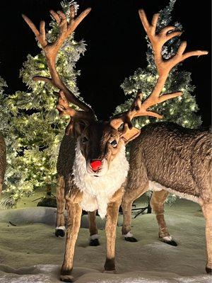 Rudolph the Red Nose Reindeer Sings. Holiday Road  a Walking Trail with Cool Christmas Decorations, Music & Lights in Calabasas CA XMAS 2021