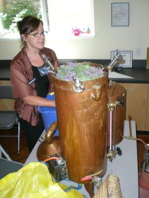 ACHS President Dorene Petersen leads participants through a lavender distillation workshop on campus July 2012.