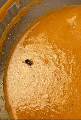 Cockroach in my butter chicken. Place is filthier than I thought.