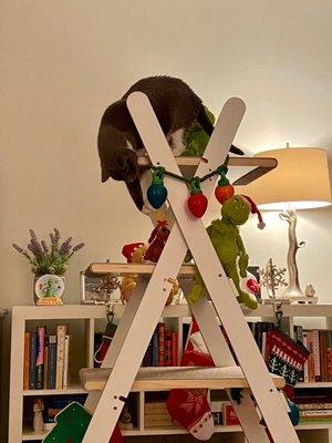 Winnie vs. cat tree Christmas decorations