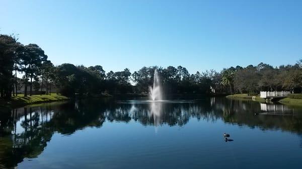 Fountains and Water Feature Pumps and Motors