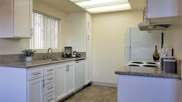 Large Renovated Kitchen with Designer Cabinetry