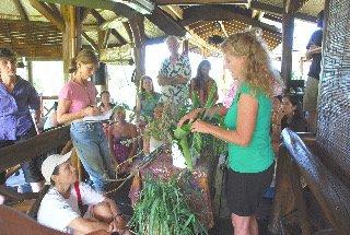 Leading a class about the benefits and uses of herbs.