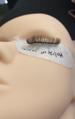 Lash course