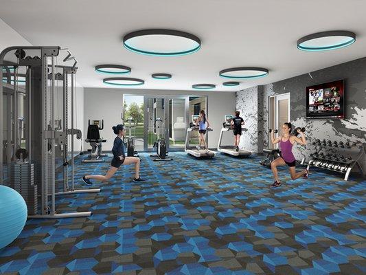 Cardio Theater and TRX | Oak Row Apartments