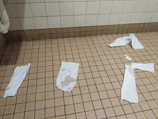 Someone has been playing what a mess in the ladies room