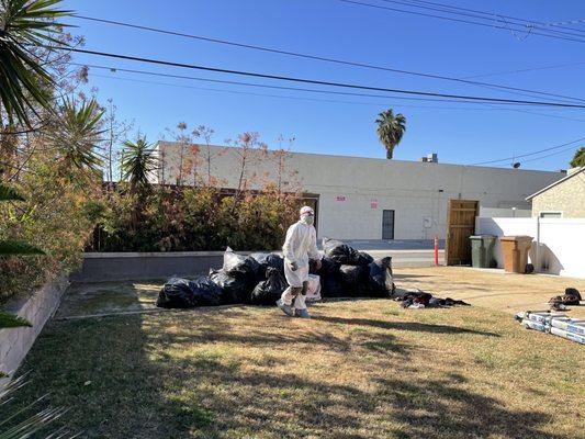 Lots of rodent soiled insulation, packed up in trash bags.