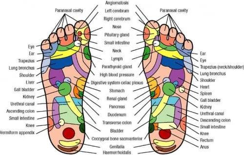 Foot Reflexology Chart