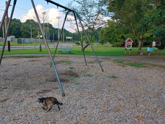 My little friend wandering the empty play area