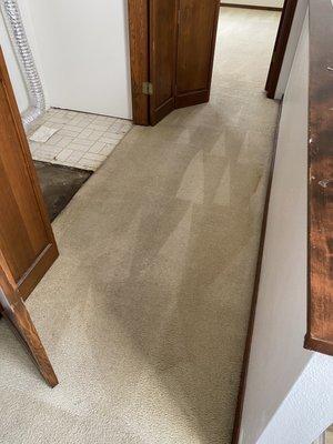 Good Neighbor Carpet Cleaning