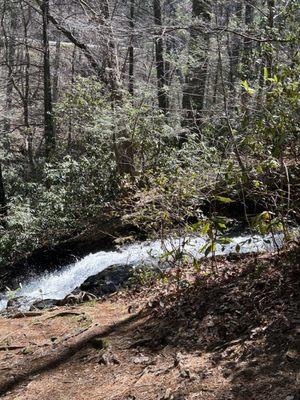 Vogel State Park