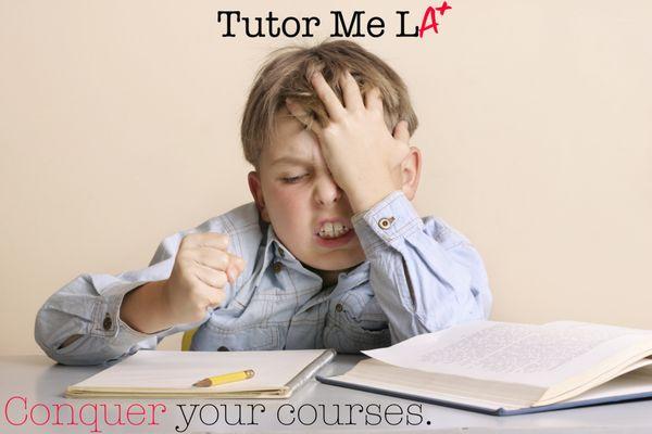 Frustrated? Look no further! At Tutor Me LA we specialize in offering the highest quality private tutors in Los Angeles and more!