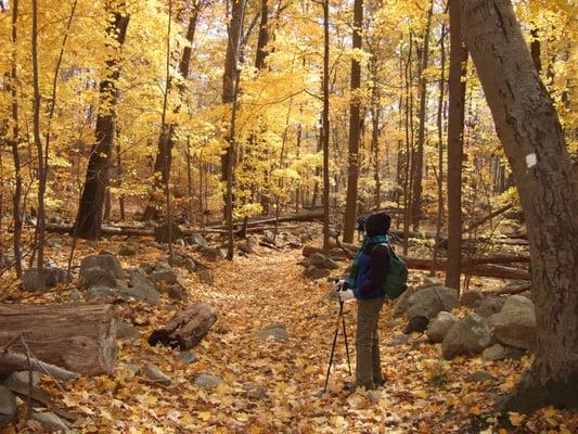 The White trail from Kakiat Park.