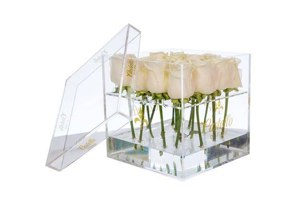 Acrylic Boxes