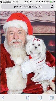 Thanks to Sarah's Gold Country Groomers, Kriket was  ready to meet Santa at Incredible Pets in Grass Valley