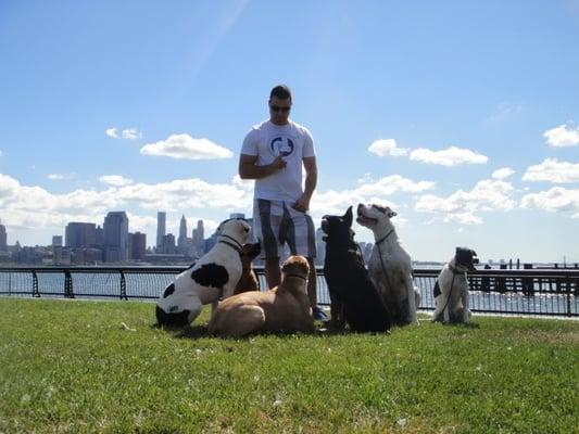 The pack waiting for direction in Pier A Park in Hoboken, NJ.