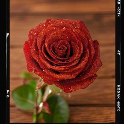 Dexter Florist Glitter Roses