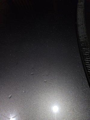 You can see white small spots in the dark. Thats the paint. Hard to clean them now.