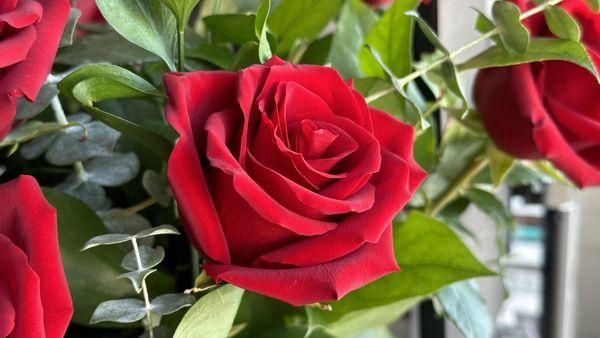 Three-day old roses. Beautiful!