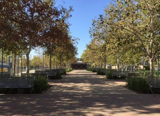 Lots of great seating and shade!