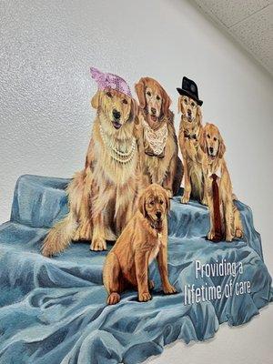 Channel Islands Veterinary Hospital