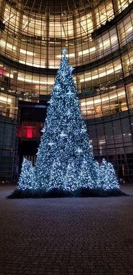 The Bloomberg Tree.